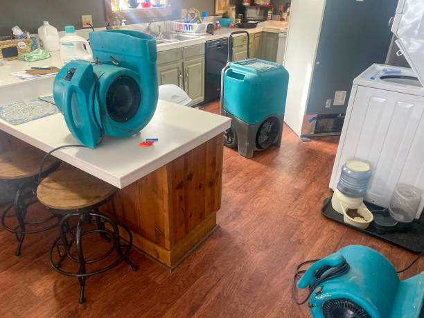 Best Carpet water damage restoration  in Moraga, CA