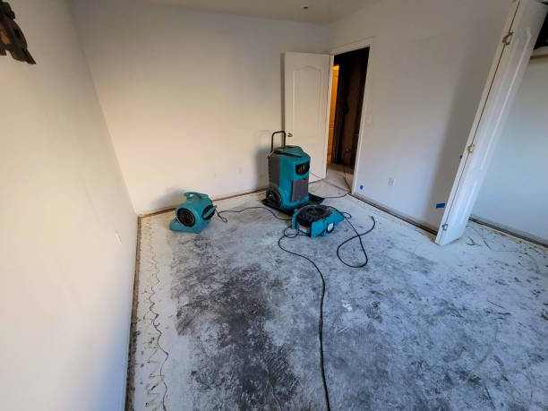 Best Commercial water damage restoration  in Moraga, CA