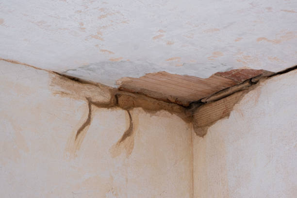 Best Sewage cleanup and water damage restoration  in Moraga, CA