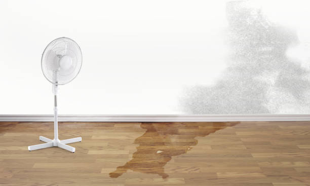 Best 24/7 water damage repair  in Moraga, CA