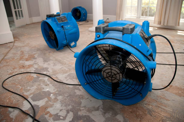  Moraga, CA Water damage restoration Pros