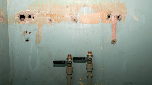 Best Professional water damage repair  in Moraga, CA