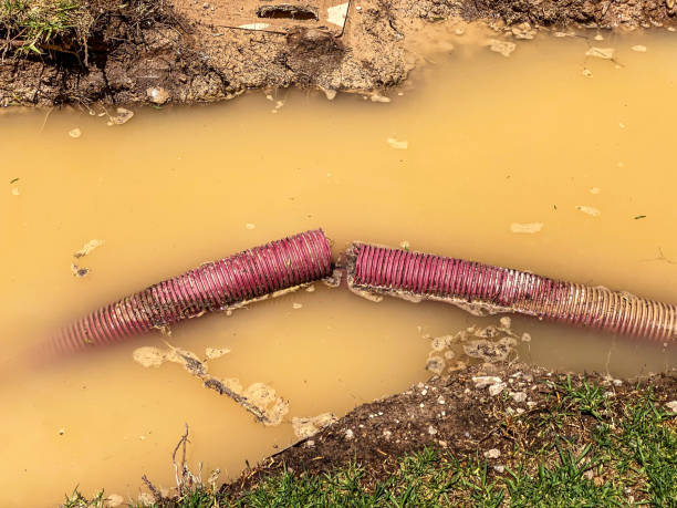 Best Emergency water damage restoration  in Moraga, CA