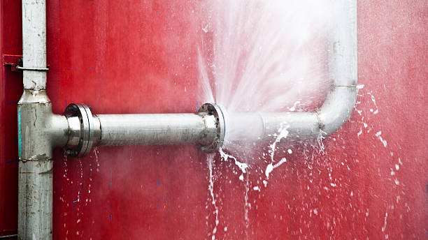 Best Flood restoration services  in Moraga, CA