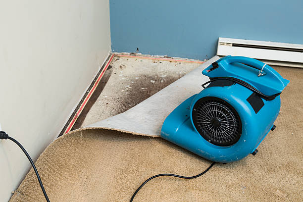 Best Water damage restoration cost  in Moraga, CA